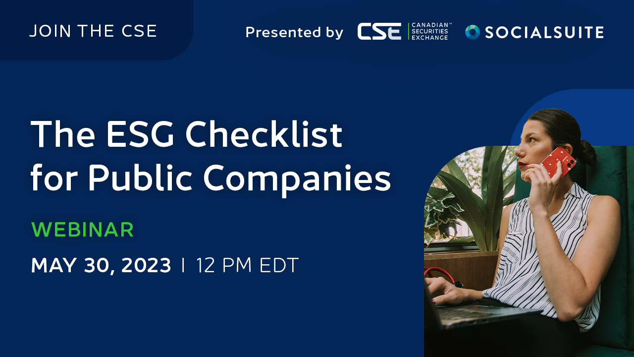 The ESG Checklist for Public Companies